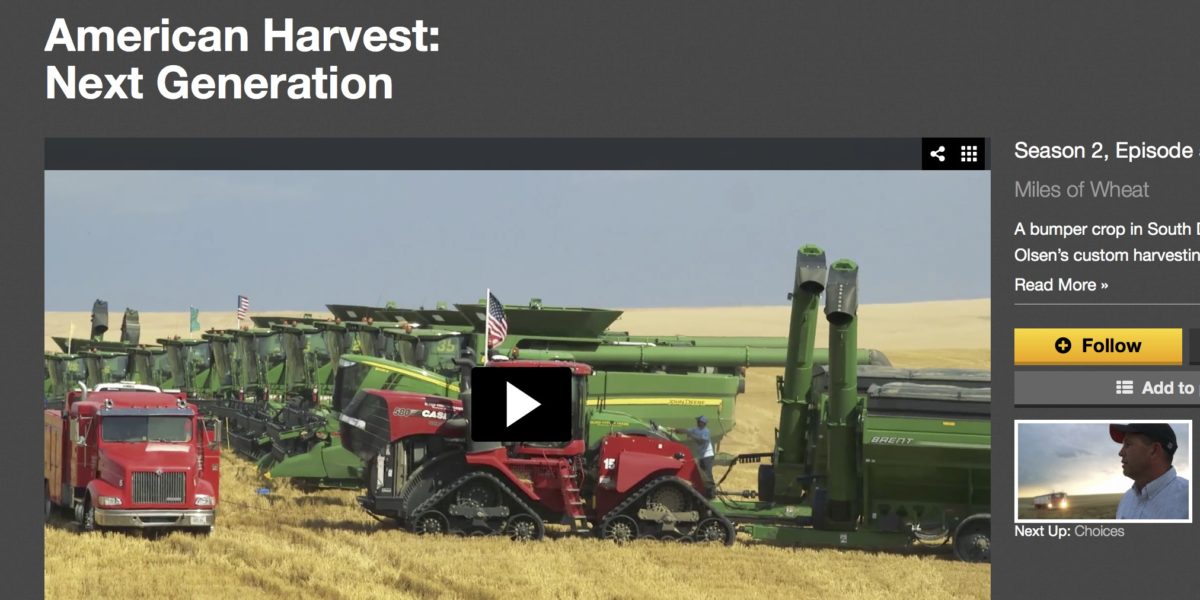 American Harvest on Carbon TV