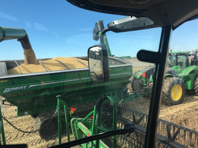 Loading a cart with wet corn